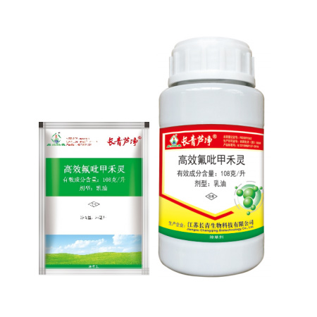 z6尊龙集团芦净?